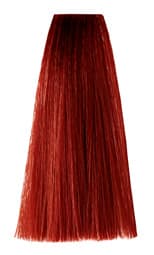 Color SHOCK 6.66 — Intense Dark Red Blonde
