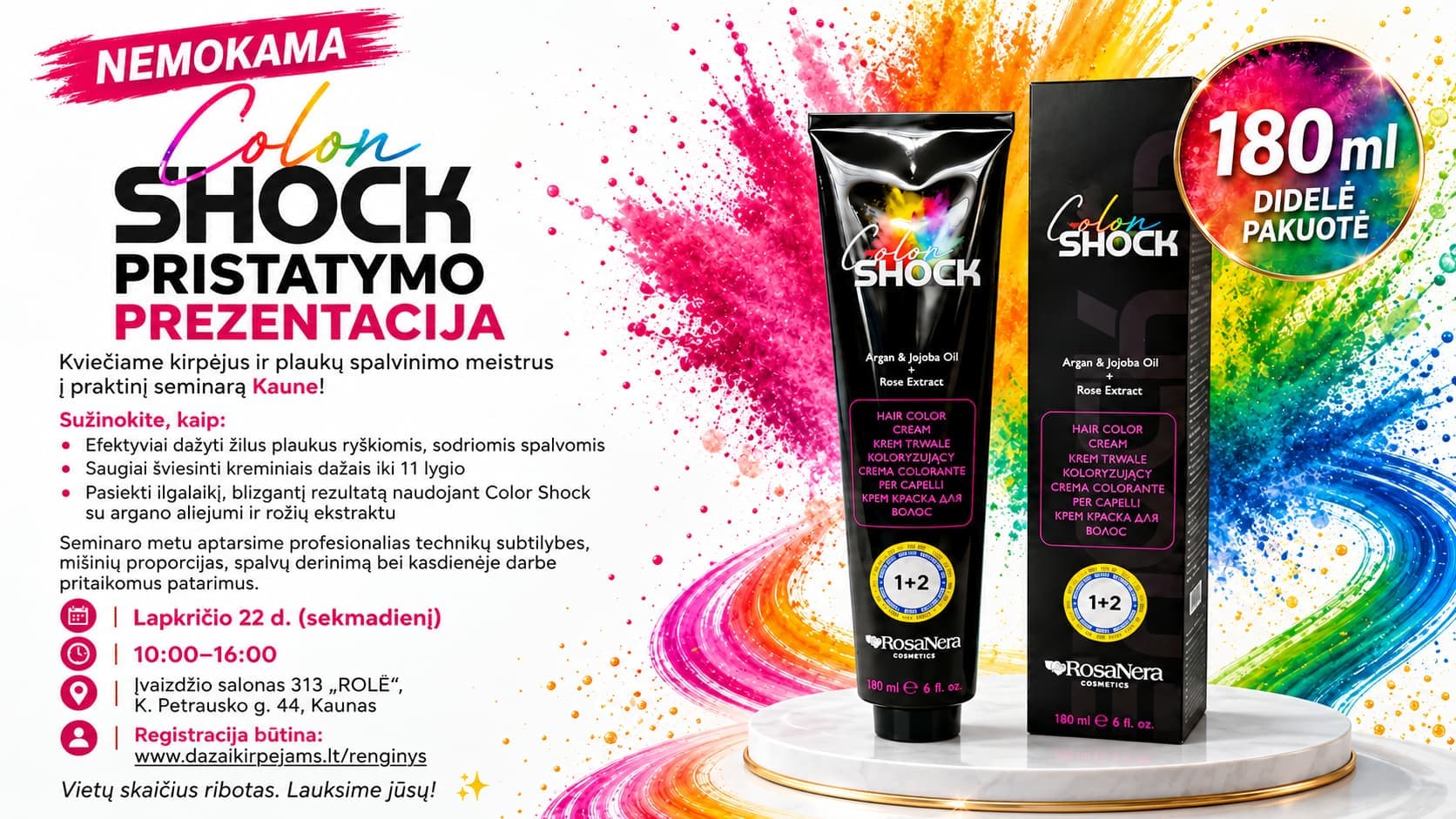 Color SHOCK dažų prezentacija Kaune su DŽIULJETA VĖBRE — Džiuljeta Vėbrė